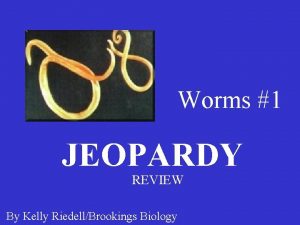 Worms 1 JEOPARDY REVIEW By Kelly RiedellBrookings Biology