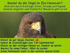 Kennst du die Vgel im Zoo Hannover Klick