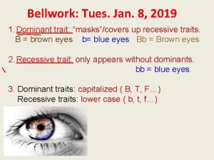 Bellwork Tues Jan 8 2019 1 Dominant trait