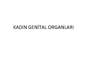 KADIN GENTAL ORGANLARI Kadn Genital Organlar reme Organlar