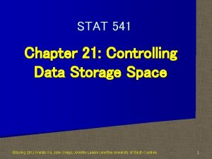 STAT 541 Chapter 21 Controlling Data Storage Space