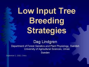 Low Input Tree Breeding Strategies Dag Lindgren Department