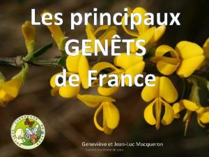 Les principaux GENTS de France Genevive et JeanLuc