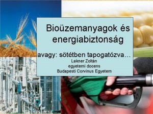 Biozemanyagok s energiabiztonsg avagy sttben tapogatzva Lakner Zoltn