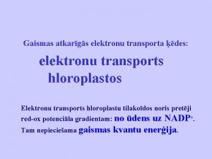 Gaismas atkargs elektronu transporta des elektronu transports hloroplastos