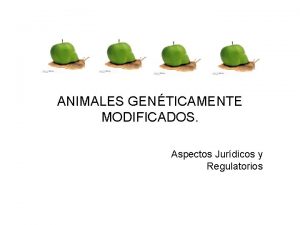 ANIMALES GENTICAMENTE MODIFICADOS Aspectos Jurdicos y Regulatorios Experiencia