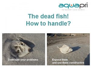 The dead fish How to handle Dont hide