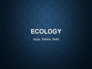 ECOLOGY Appy Reece Brett What is Ecology Ecology