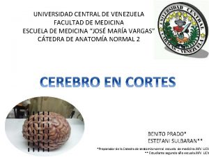 UNIVERSIDAD CENTRAL DE VENEZUELA FACULTAD DE MEDICINA ESCUELA