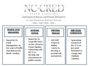 TRAFFIC STOP DISPARITIES JUVENILE JUSTICE PRETRIAL RELEASE Report