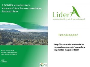 http transleader webnode hu orszagtanulmanyokspanyolors zagleadermegvalositasa TRANSLEADER Andalziban