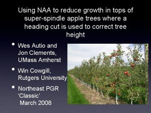 Using NAA to reduce growth in tops of