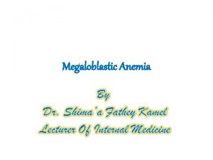 Megaloblastic Anemia Introduction The megaloblastic anemias are a