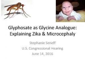 Glyphosate as Glycine Analogue Explaining Zika Microcephaly Stephanie
