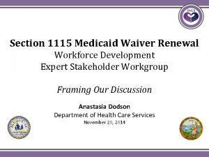 Section 1115 Medicaid Waiver Renewal Workforce Development Expert