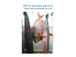 6me et dernire partie Visite chez le mareyeur