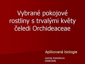 Vybran pokojov rostliny s trvalmi kvty eledi Orchideaceae