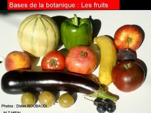 Bases de la botanique Les fruits LE FRUIT