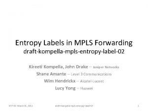 Entropy Labels in MPLS Forwarding draftkompellamplsentropylabel02 Kireeti Kompella