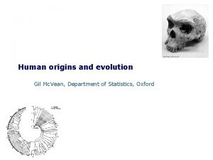 Human origins and evolution Gil Mc Vean Department