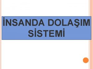 NSANDA DOLAIM SSTEM KALBN YAPISI ve ALIMA MEKANZMASI