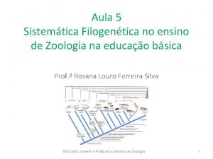 Aula 5 Sistemtica Filogentica no ensino de Zoologia