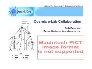 Cosmic eLab Collaboration Bob Peterson Fermi National Accelerator