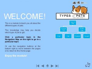 WELCOME TYPES NOT JUST CORGI Types of Pets