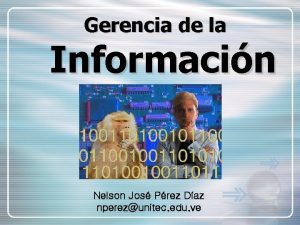 Gerencia de la Informacin Nelson Jos Prez Daz