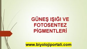 GNE III VE FOTOSENTEZ PGMENTLER www biyolojiportali com