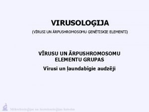 VIRUSOLOIJA VRUSI UN RPUSHROMOSOMU ENTISKIE ELEMENTI VRUSU UN