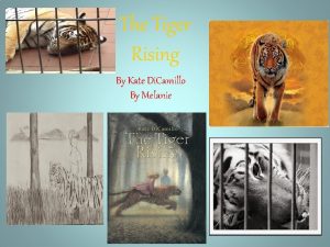 The Tiger Rising By Kate Di Camillo By