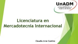 Licenciatura en Mercadotecnia Internacional Claudia Arce Camino Perfil