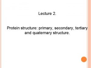 Lecture 2 Protein structure primary secondary tertiary and