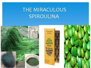 THE MIRACULOUS SPIROULINA Spiroulina is an eatable seaweed