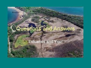 Questions and Answers Estuaries and You What is