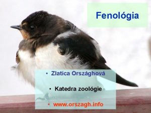 Fenolgia Zlatica Orszghov Katedra zoolgie www orszagh info