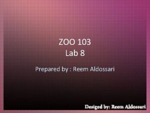 ZOO 103 Lab 8 Prepared by Reem Aldossari