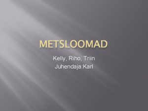 METSLOOMAD Kelly Riho Triin Juhendaja Karl Saarmas Ujulestad