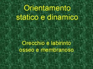 Orientamento statico e dinamico Orecchio e labirinto osseo