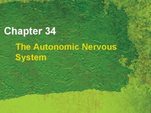 Chapter 34 The Autonomic Nervous System Autonomic Nervous
