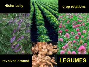 Historically revolved around crop rotations LEGUMES Cover crops