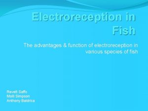 Electroreception in Fish The advantages function of electroreception