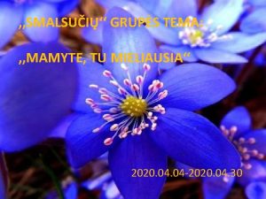 SMALSUI GRUPS TEMA MAMYTE TU MIELIAUSIA 2020 04