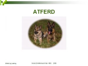 ATFERD Atferd og Lring Norsk Schferhund Klub HBU