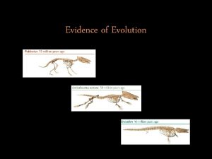 Evidence of Evolution Evidence 1 Fossil Record Shows