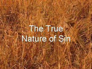 The True Nature of Sin Sin Deceives Pretends