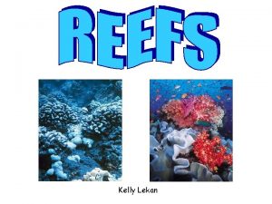 Kelly Lekan Early Reefs First appearance of reefs