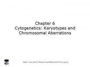 Chapter 6 Cytogenetics Karyotypes and Chromosomal Aberrations Chapter