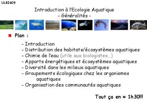 ULBI 609 Introduction lEcologie Aquatique Gnralits Plan Introduction